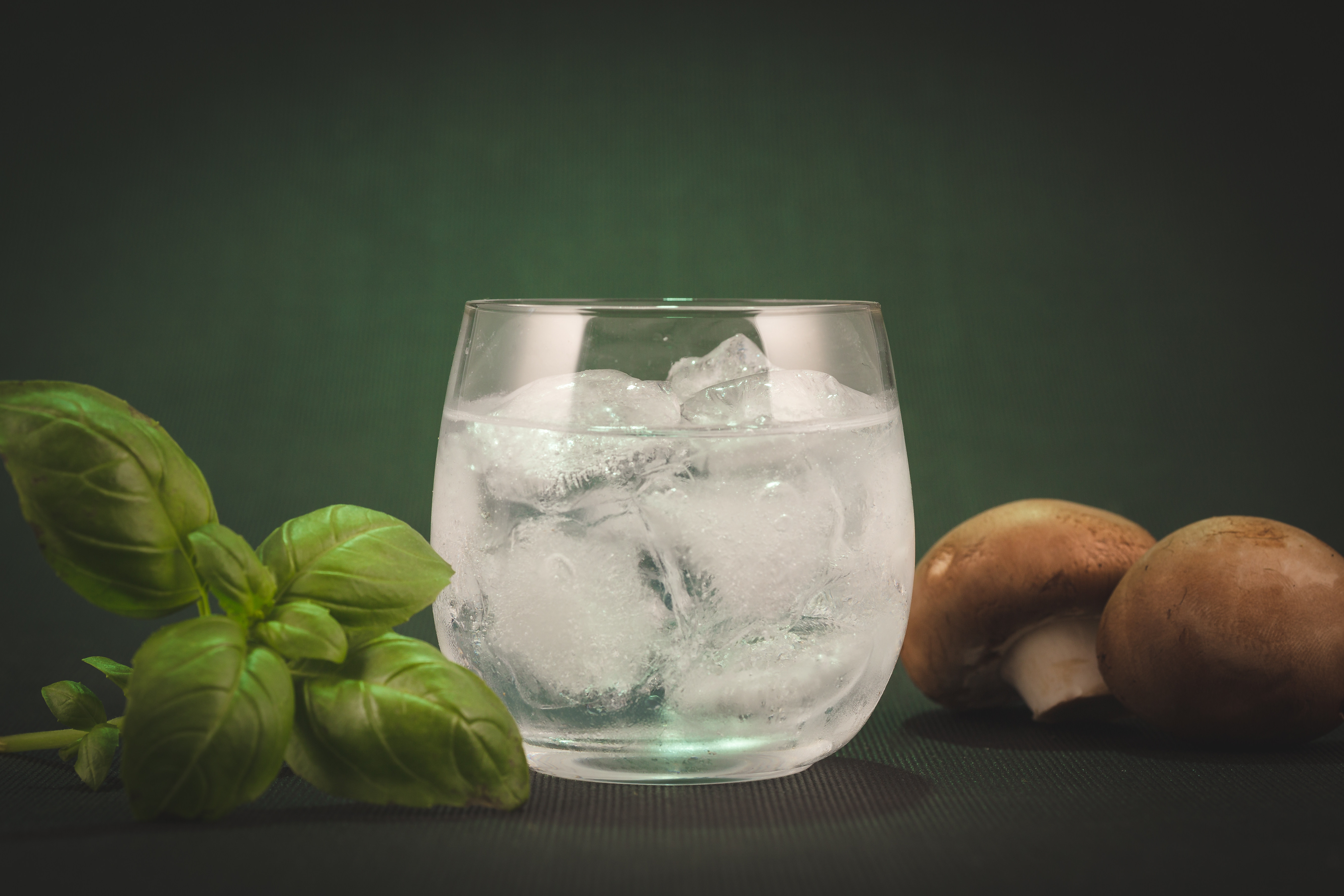 1542 Gin Woodmaster London Dry Gin | 42% Vol. | 0,5l