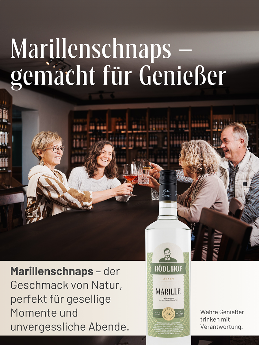Hödl Hof Marille Schnaps | 38% Vol. | 1,0l