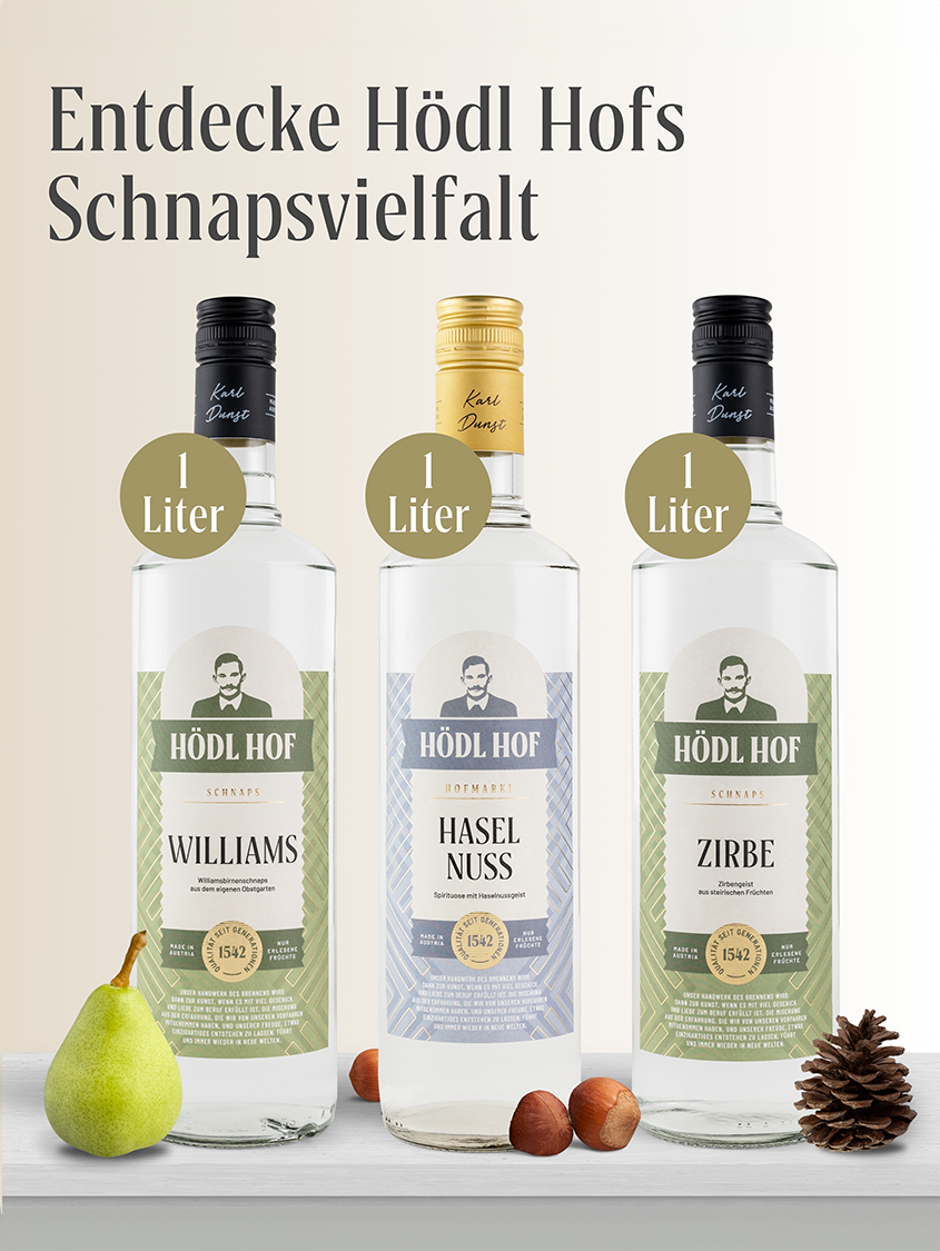 Hödl Hof Marille Schnaps | 38% Vol. | 1,0l