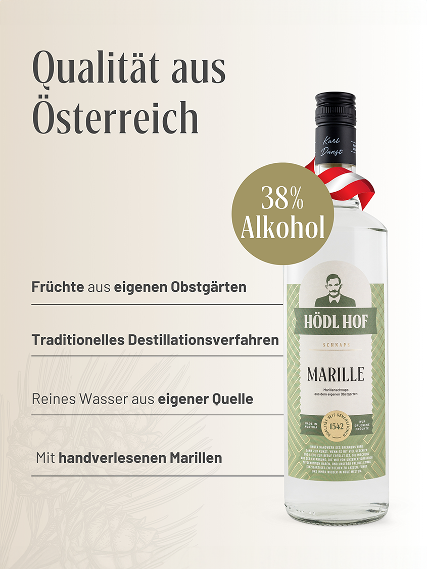 Hödl Hof Marille Schnaps | 38% Vol. | 1,0l