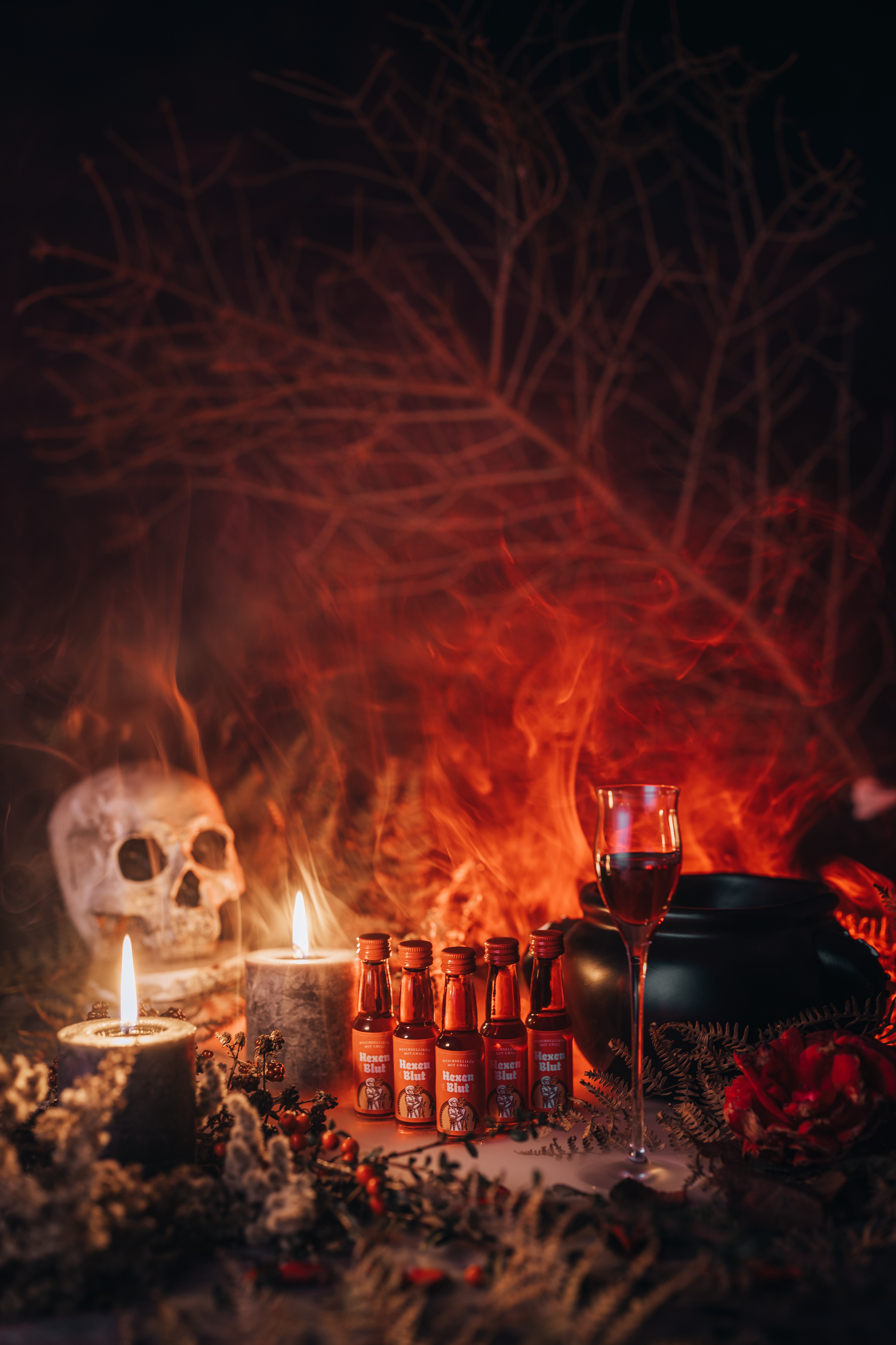 Hexenblut Weichsellikör mit Chili | 20% Vol. | 24x0,02l